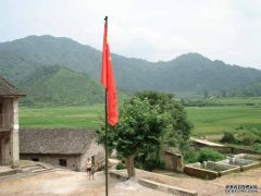 ԴСѧʦϺҸƽʵСѧѧϰ