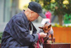 上海:银发族超过30%,是一种怎样的体验