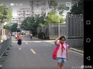 这张照片火了!国歌一响全体孩子竟都止步敬礼