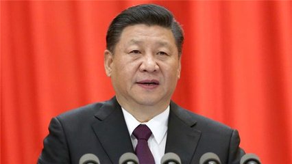 中央政治局同志向党中央和习近平述职