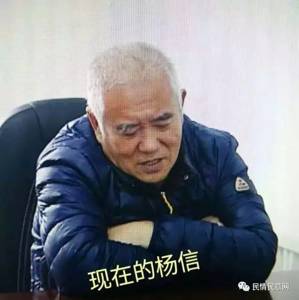 齐齐哈尔原书记杨信家财超3亿 从东北到三亚有46套房