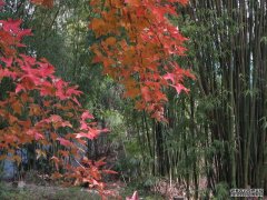 Ůڹ乫԰ƱŻ һЩ԰