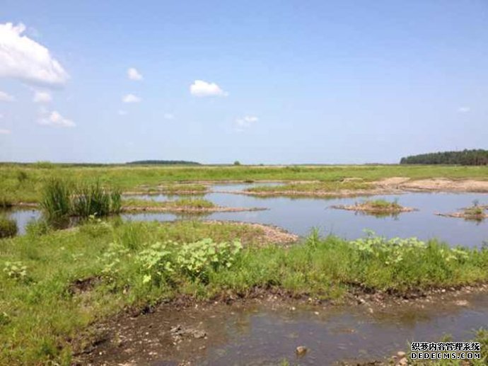 ԭɣ֪ͬ־ -  - ഺԭдѩ