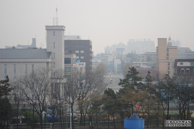 ԭƬ壩峿ʴ -  - ഺԭдѩ