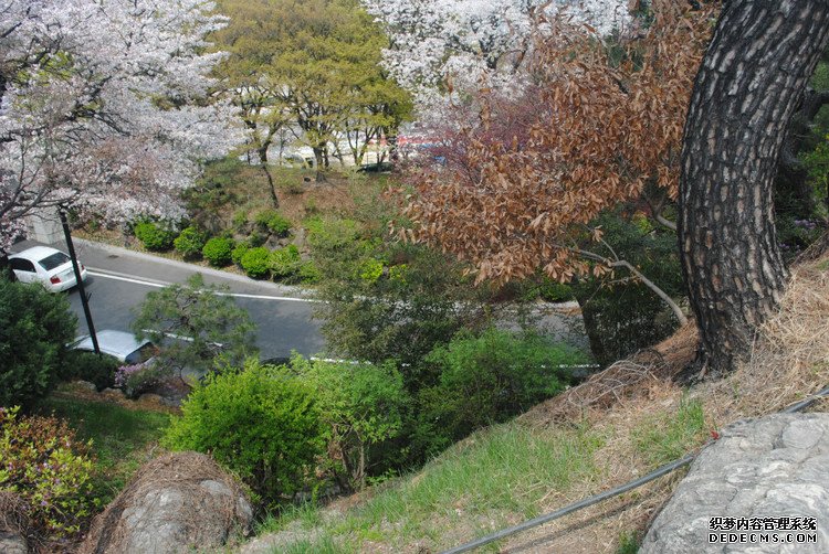 ԭƬˣ׶˰ -  - ഺԭдѩ