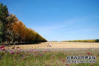 ԭÿܷɽķ -  - ഺԭдѩ