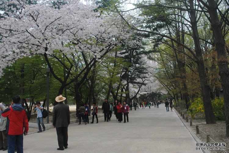 ԭƬţι׶ -  - ഺԭдѩ