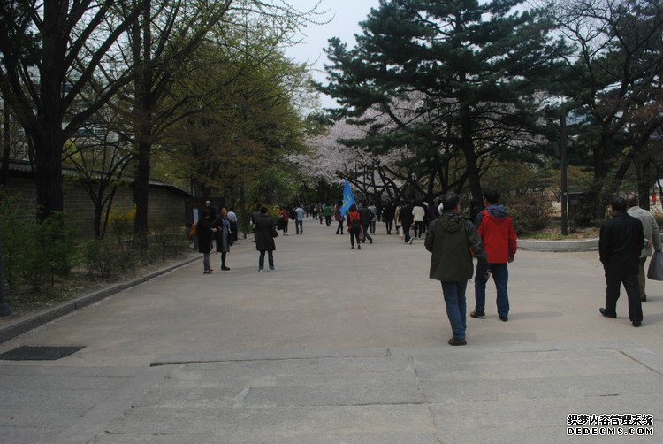 ԭƬţι׶ -  - ഺԭдѩ