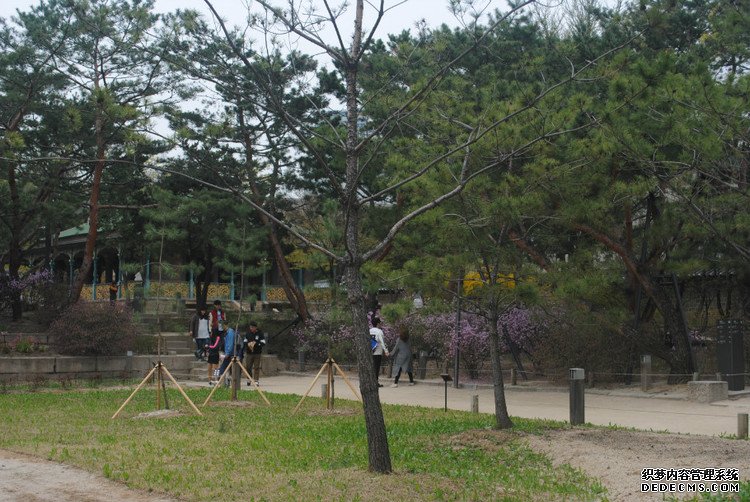 ԭƬţι׶ -  - ഺԭдѩ