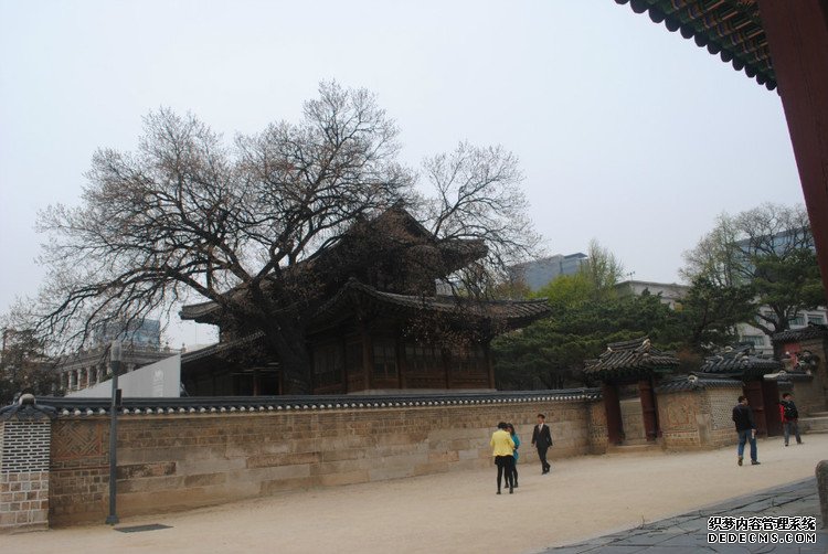 ԭƬţι׶ -  - ഺԭдѩ