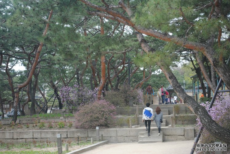 ԭƬţι׶ -  - ഺԭдѩ