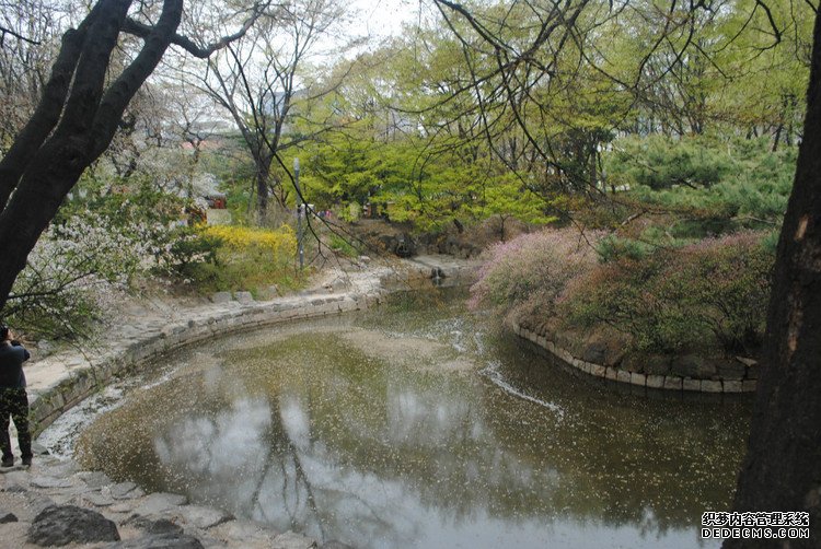 ԭƬţι׶ -  - ഺԭдѩ