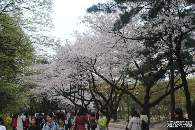 ԭƬţι׶ -  - ഺԭдѩ