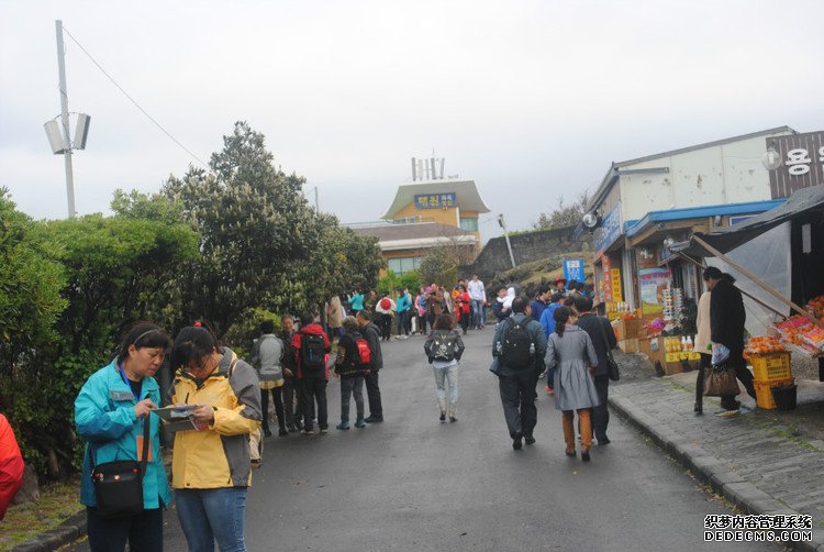 ԭƬʮμݵͷ -  - ഺԭдѩ