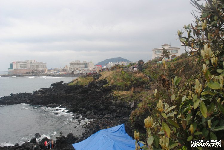 ԭƬʮμݵͷ -  - ഺԭдѩ