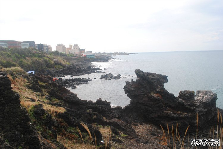 ԭƬʮμݵͷ -  - ഺԭдѩ