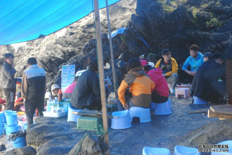 ԭƬʮμݵͷ -  - ഺԭдѩ