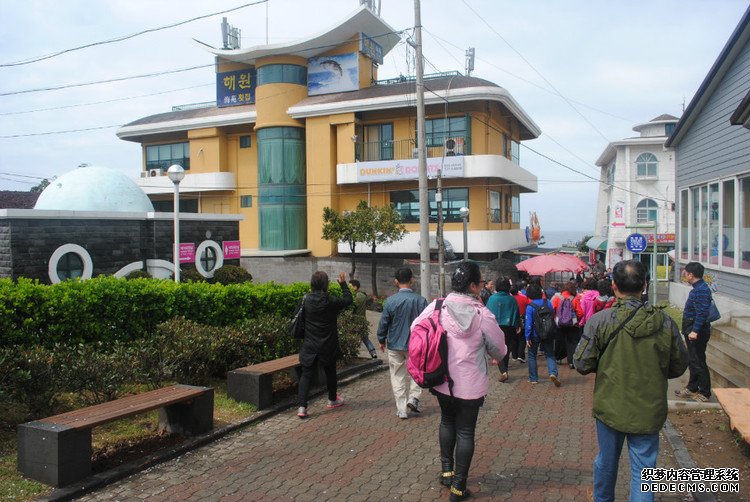 ԭƬʮμݵͷ -  - ഺԭдѩ