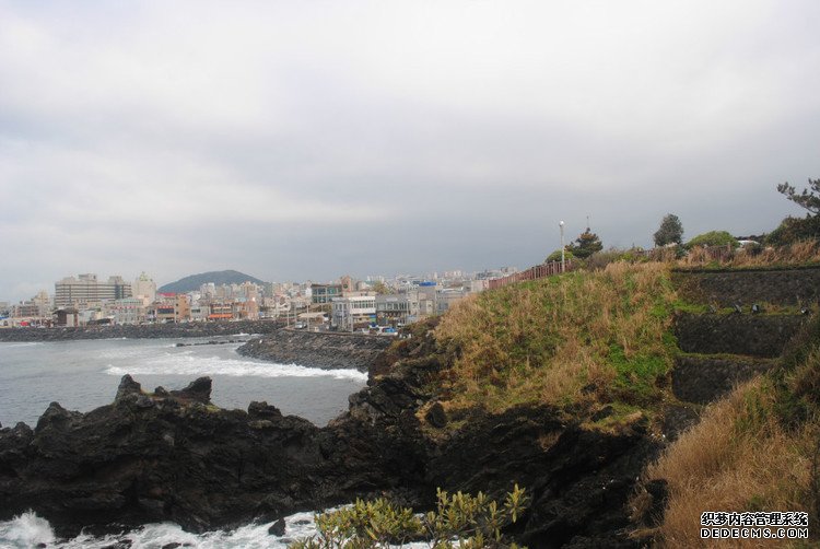 ԭƬʮμݵͷ -  - ഺԭдѩ