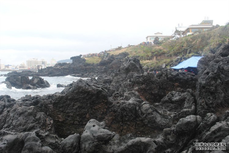 ԭƬʮμݵͷ -  - ഺԭдѩ