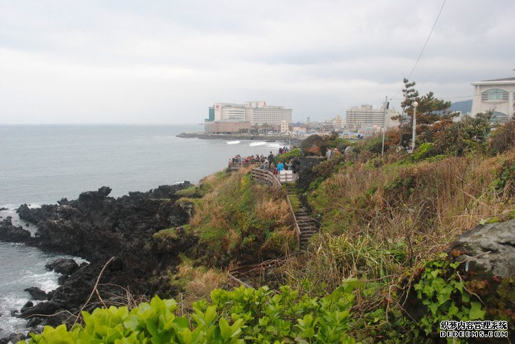 ԭƬʮμݵͷ -  - ഺԭдѩ