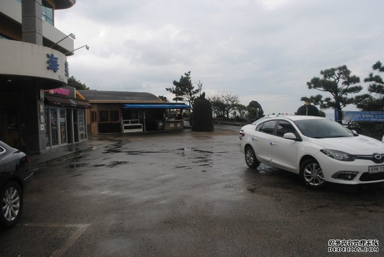 ԭƬʮμݵͷ -  - ഺԭдѩ