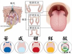 ʡĲֻģѧҷ֡ʡһζ