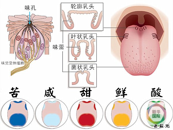 ǰѧΪ˵ζֻܸ֪ζǣᡣ