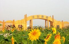 沪郊农业游被称"没文化" 浦东一农家乐靠"乡愁"逆袭