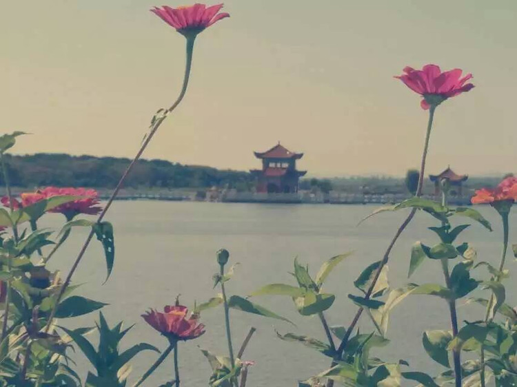 Ƭ֪ר -  - ഺԭдѩ