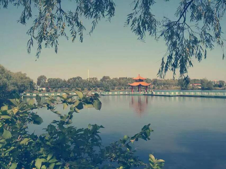 Ƭ֪ר -  - ഺԭдѩ