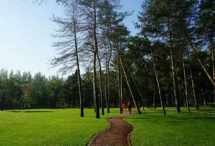 ҽƬţ֪ר -  - ഺԭдѩ