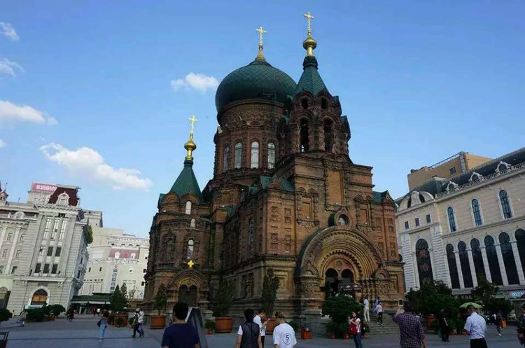 ҽƬţ֪ר -  - ഺԭдѩ