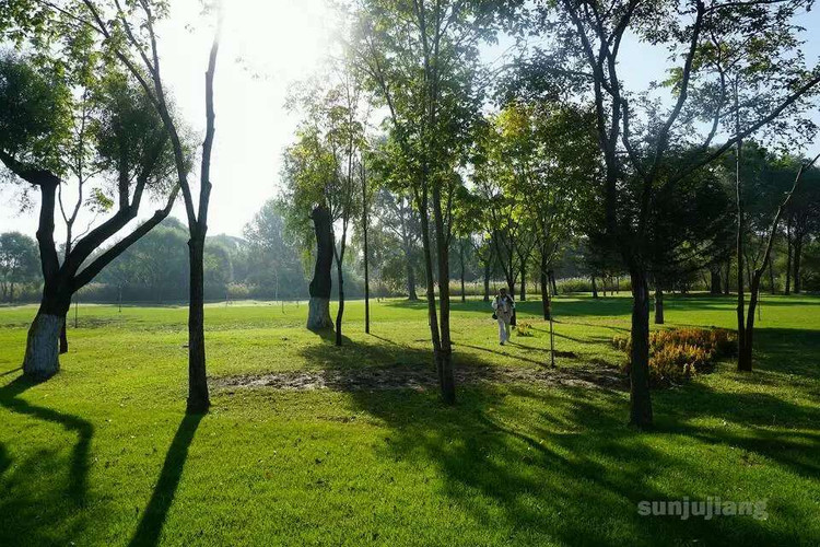 ҽƬţ֪ר -  - ഺԭдѩ