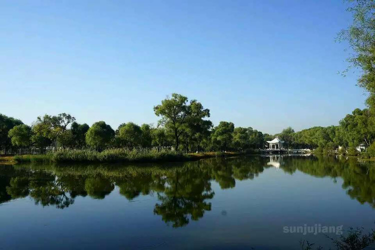 ҽƬţ֪ר -  - ഺԭдѩ