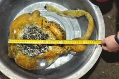 Ĵеɫ רҳƻǡ̫ꡱ