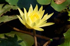 ˭Ūģôȫ°ɣҵģ̫ˣ