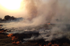 žƾƼʷʱƵϷƱFMAp