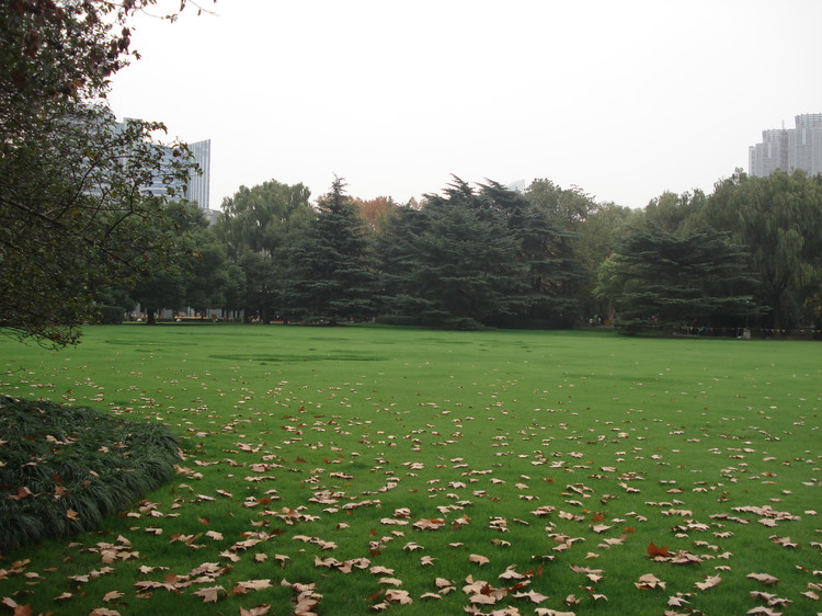 点击查看源网页