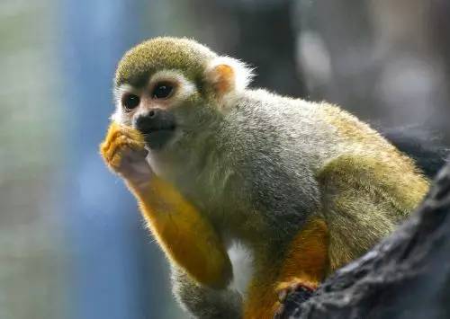 㣺ȻǺ꣬ȻҪϺ԰ĺ࣬½ĻβչҲڴڼ࣬жչĺֺԳһû