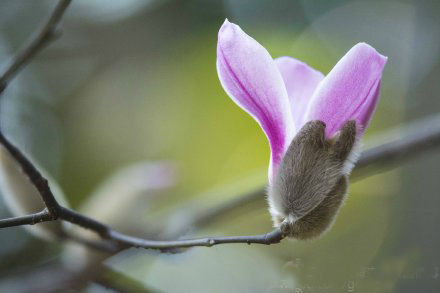 ꣬ӭ봺գһЩֲҲ¼翪šϺֲ԰ȴİ214վͿˣʮ翪ż¼ͬʱĻҲȥ˰¡