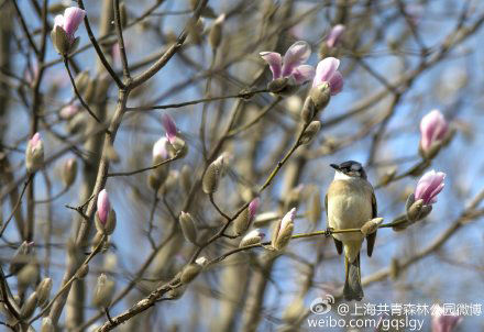 뵽ϯĽݵġһÿţǿÿһΪһ޷ľΣɵǺǵǰΣԸվ·ԣŷֻ꣬ΪTA·ʱһݶ̵Ļ