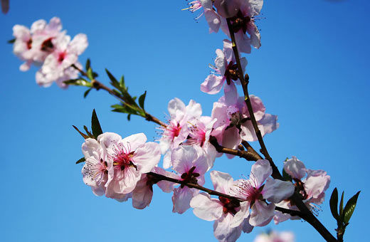 ԰λ̨ƽľסأ֣ɹո̨󣬴غ˿ֲֳ԰ĳơ԰