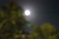 知青闹元宵赋诗三首