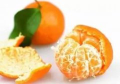 橘子皮不等于陈皮 吃橘子的4大禁忌