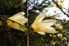 新华社发布报道中的禁用词