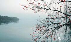 汉语翻译英文诗,全世界都服了!