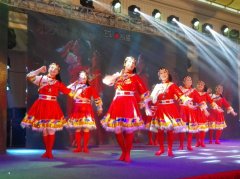   2016֪Ļߵڶȫ֪赸֪ͨ