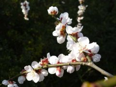 ھٰ조2016֪Цݡѡ֪ͨ