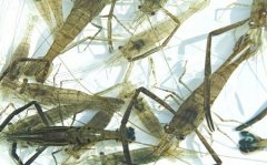 4µĺϺÿ100Ԫ ۺϺ񣢳Բ